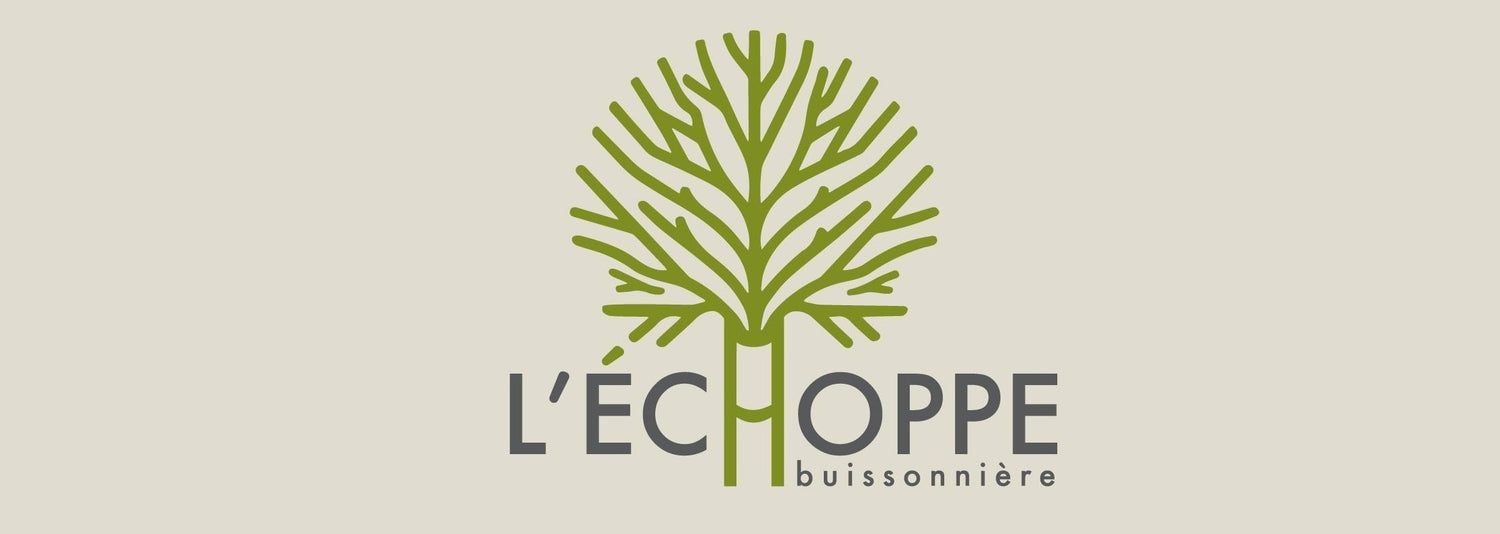 L'Échoppe Buissonnière