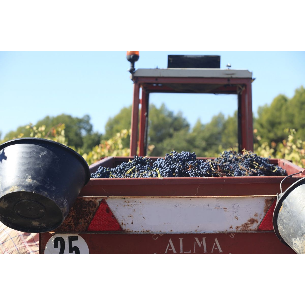 6 bouteilles de vin 75cl Luberon Rouge "Secret de Famille" 2021