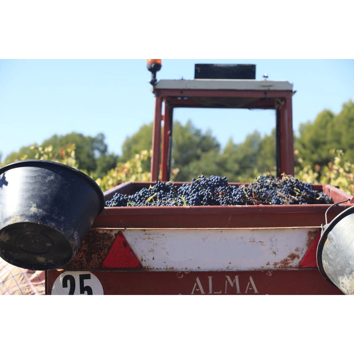 6 bouteilles de vin 75cl Ventoux Rouge "A mon père" 2020 Vin rouge Vignoble Chasson - Chateau Blanc - The Best of Provence