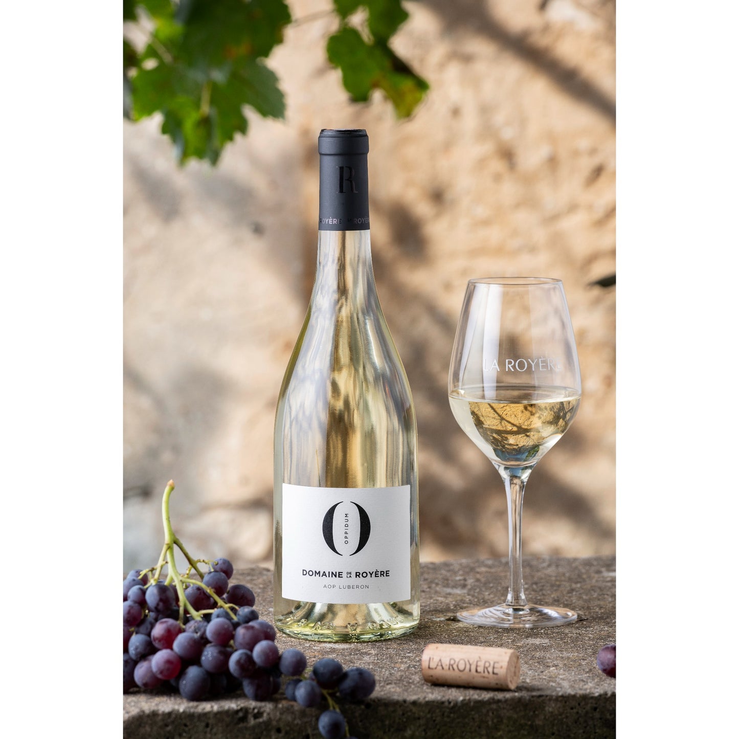6 bouteilles de vin 75cl AOP Luberon Blanc "Oppidum" Bio 2021