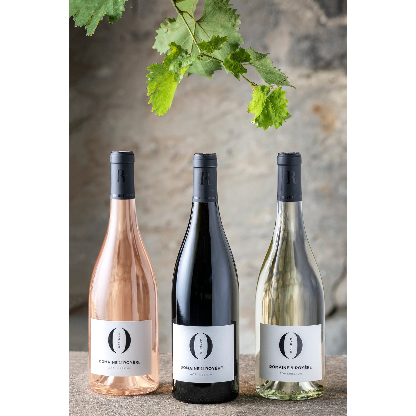 6 bouteilles de vin 75cl AOP Luberon Bio Rouge "Oppidum" 2020